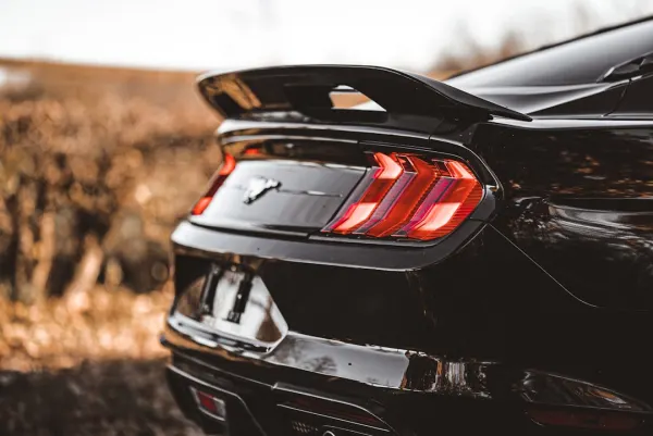 كازينو مس سلوت تطبيق أندرويد/آي أو إس